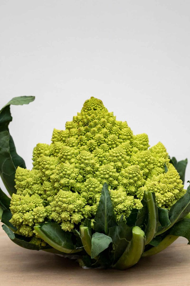 Romanesco Broccoli