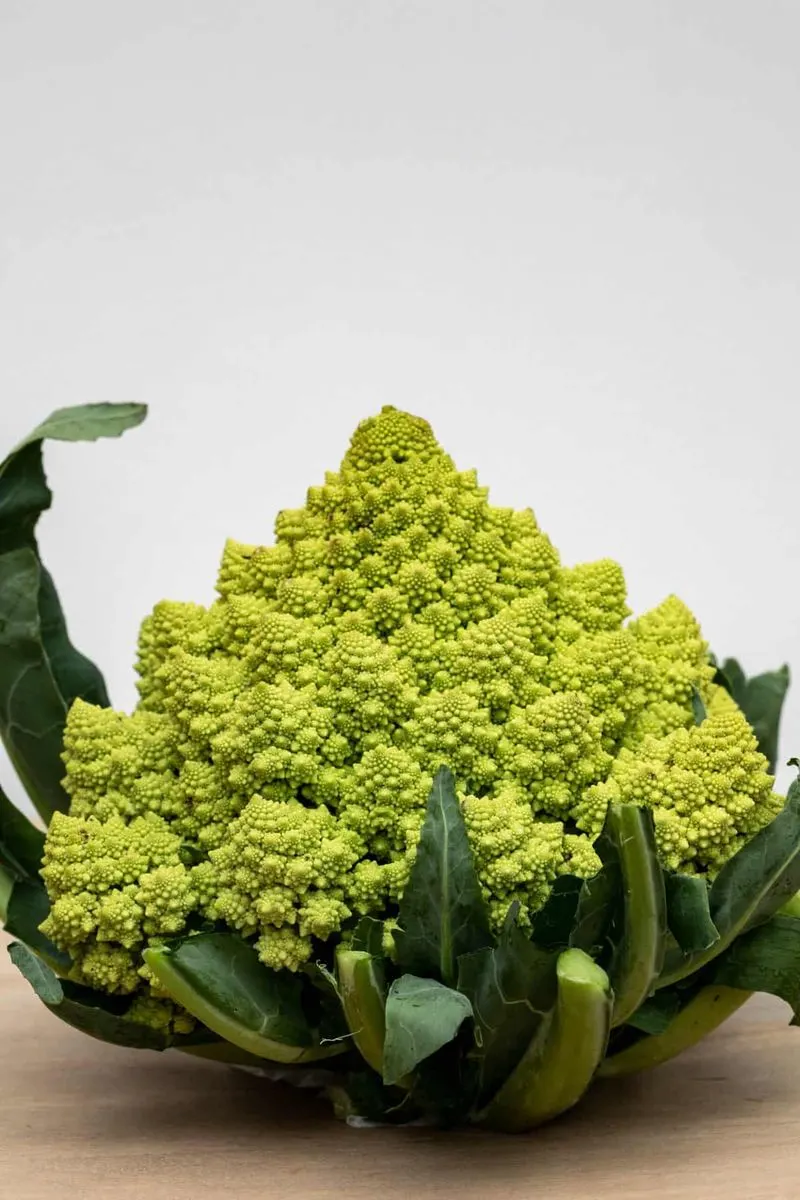 Romanesco Broccoli