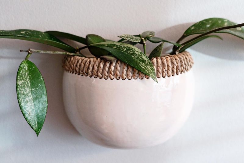 Rope Wrapped Pots