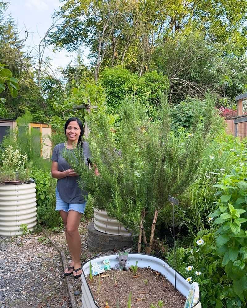 Rosemary