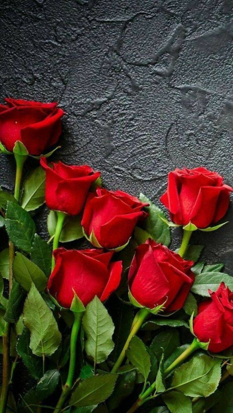 Roses