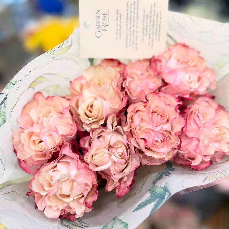 Roses