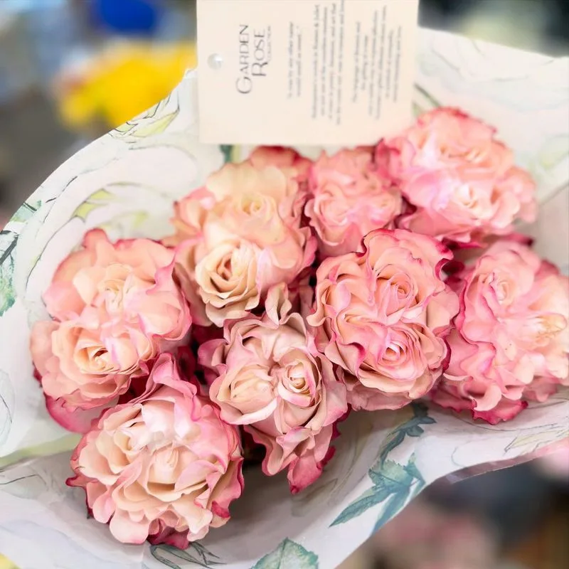 Roses