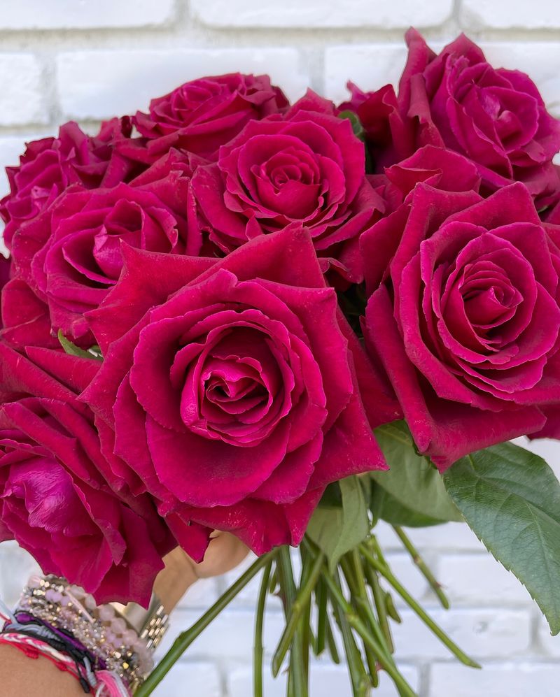 Roses