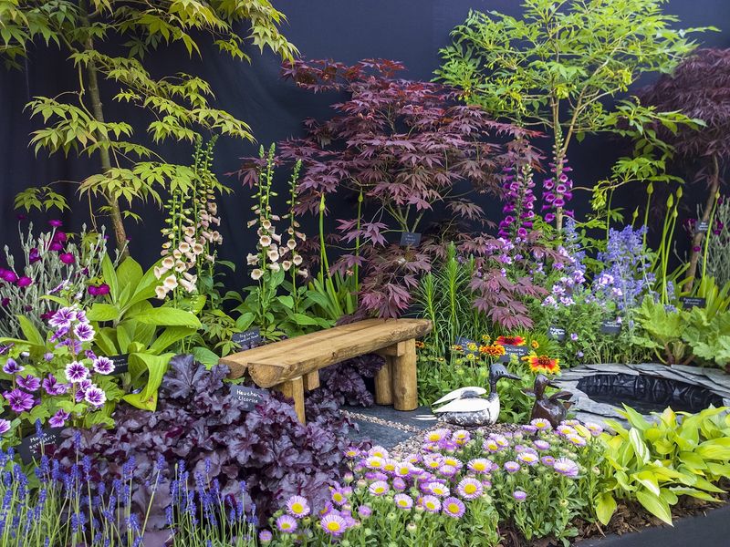 Royal Horticultural Society Involvement