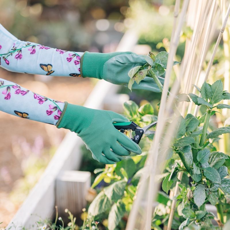Rubber Gloves for Pruning