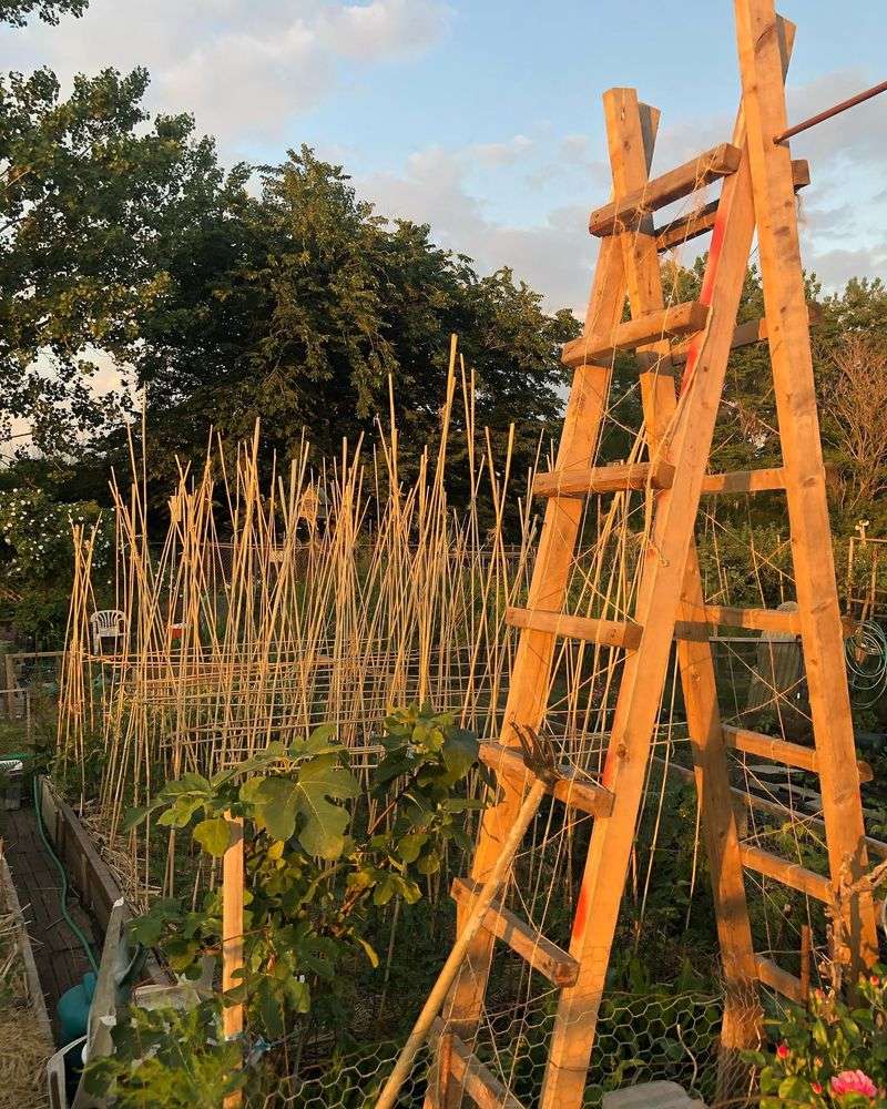 Rustic Log Trellis