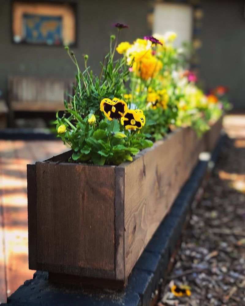 Rustic Wooden Planters