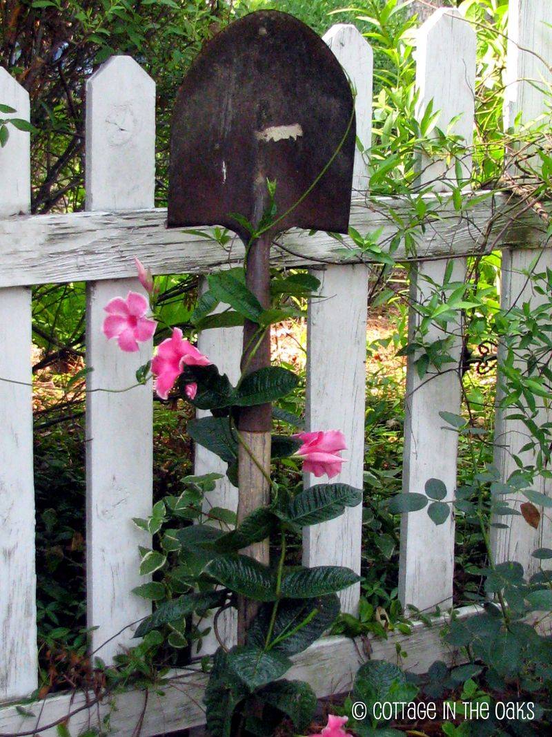 Rusty Rake Trellis