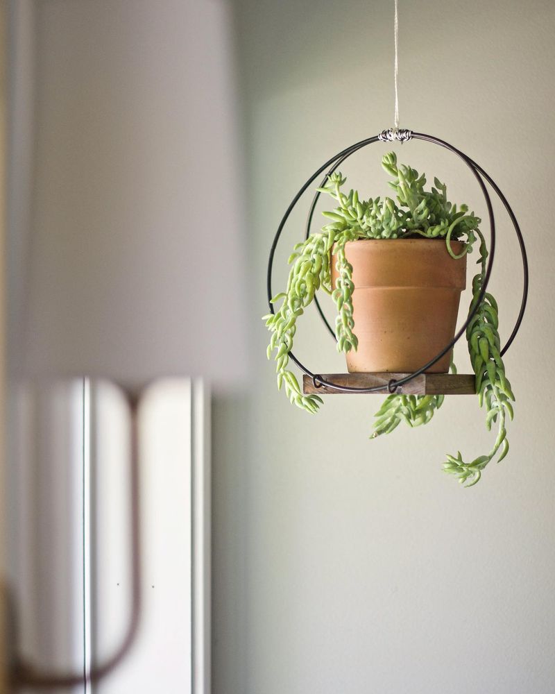 Saucepan Herb Hanger