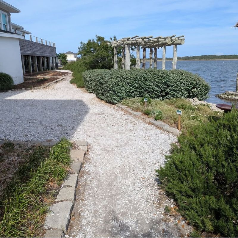 Sea Shell Walkway