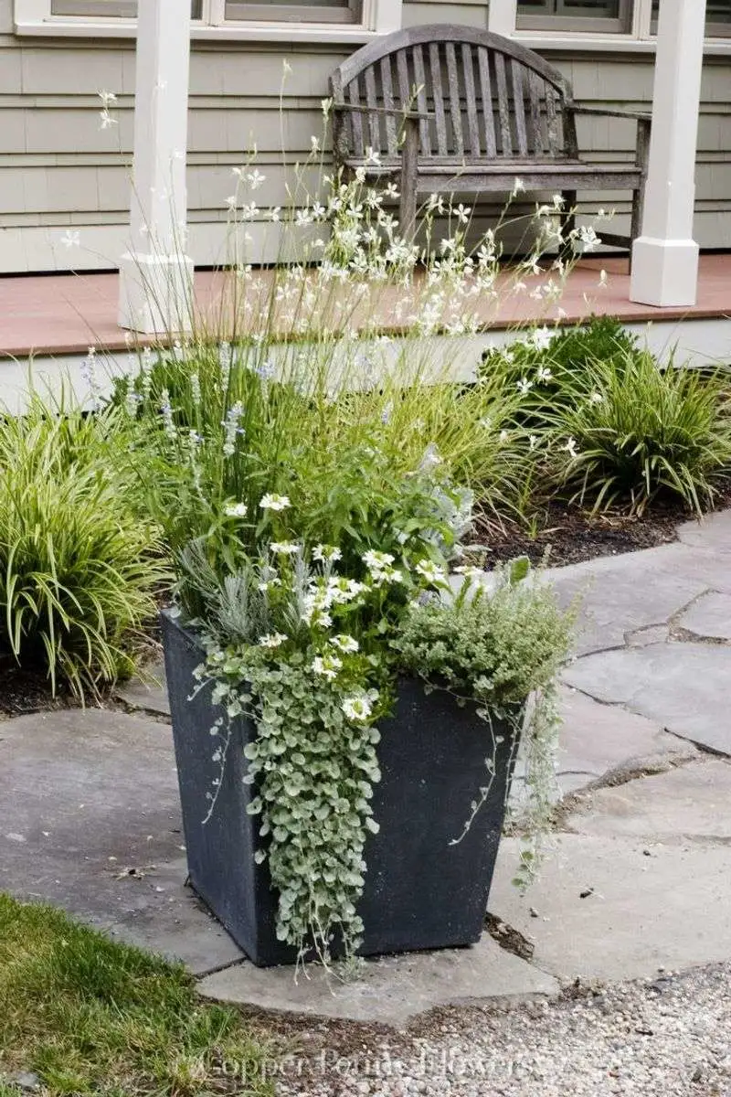 Seasonal Blooms