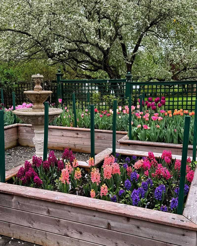 Seasonal Flowers