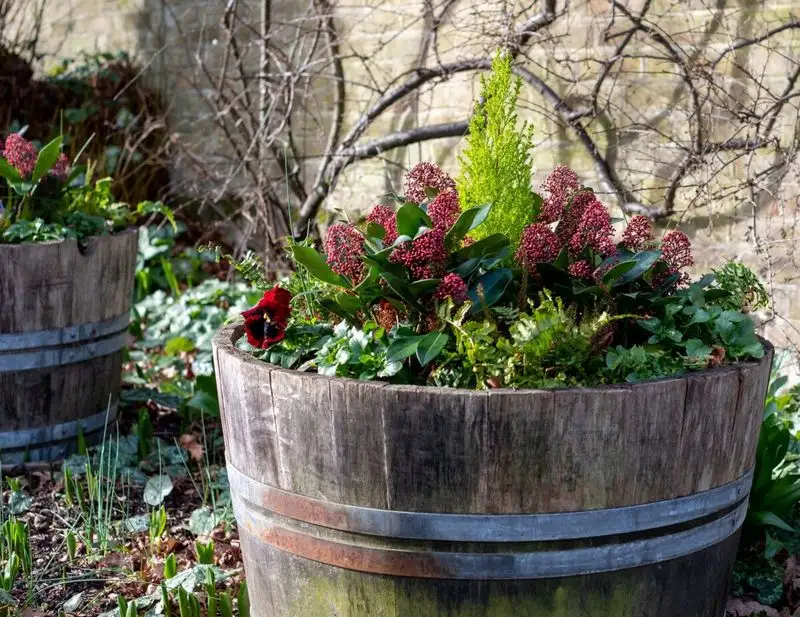 Seasonal Layers