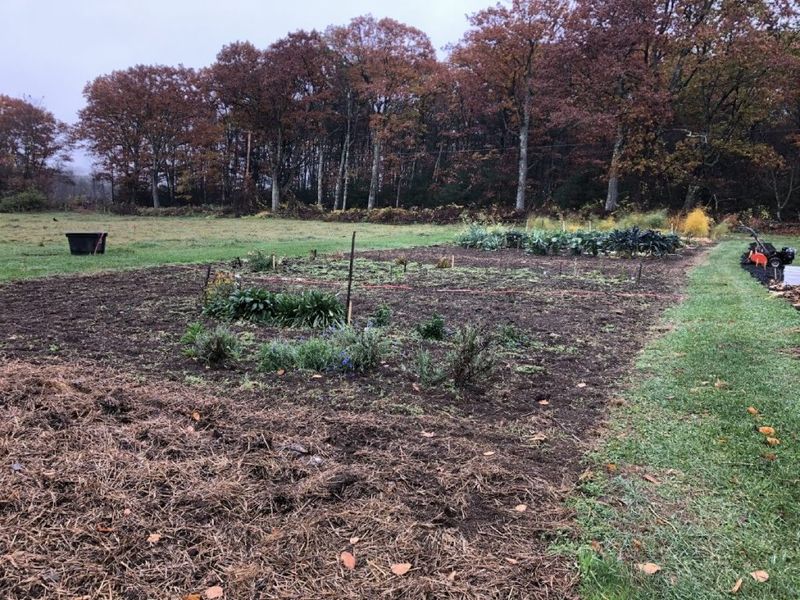 End-of-Season Cleanup
