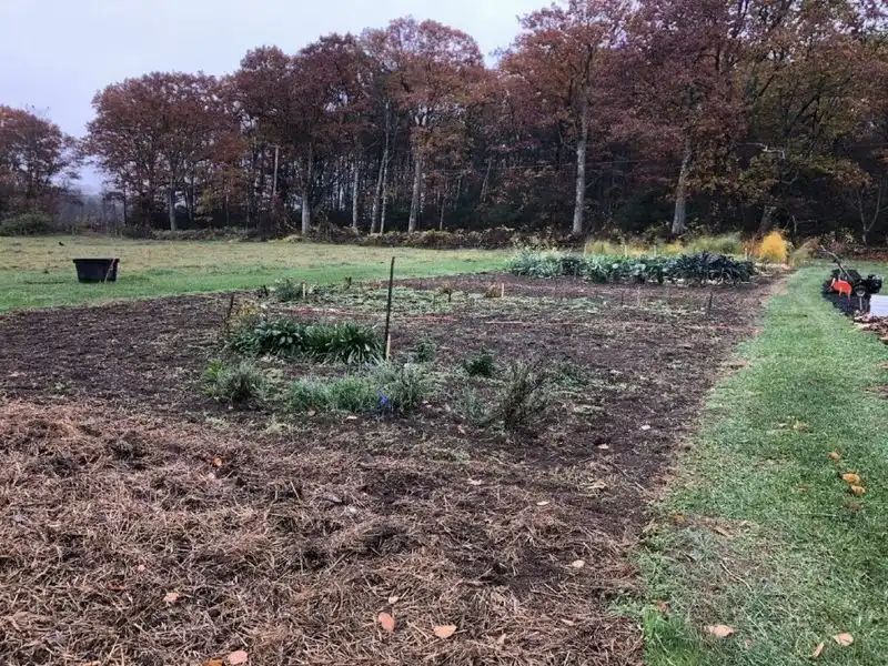 End-of-Season Cleanup