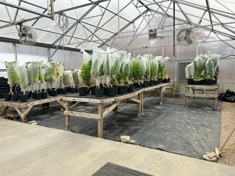 Seed Saving