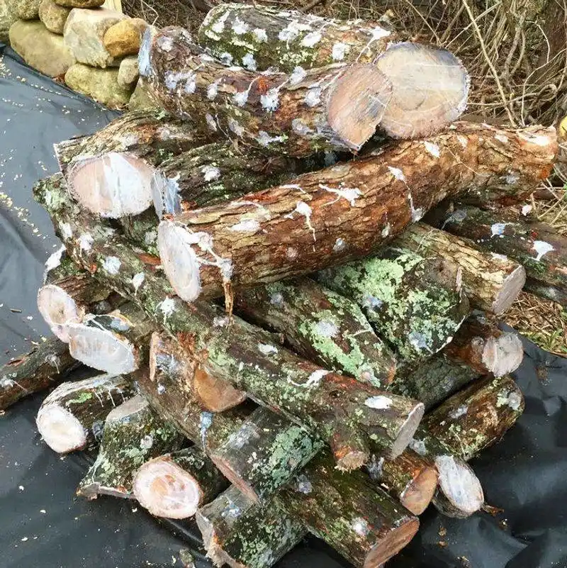 Select Suitable Logs