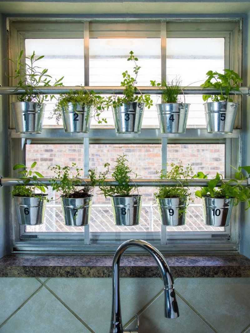 Selecting the Right Herbs