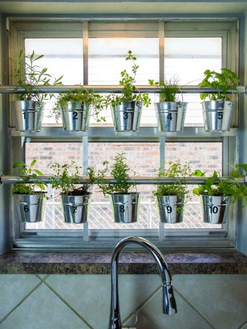 Selecting the Right Herbs