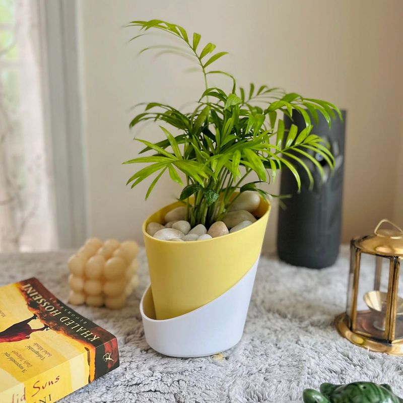 Self-Watering Planters