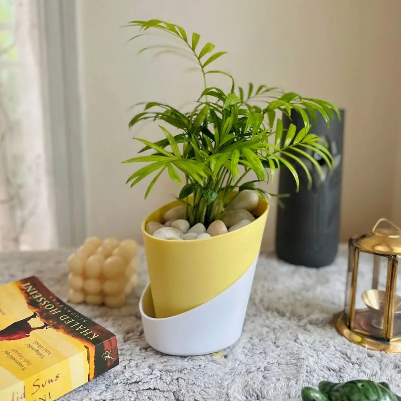 Self-Watering Planters