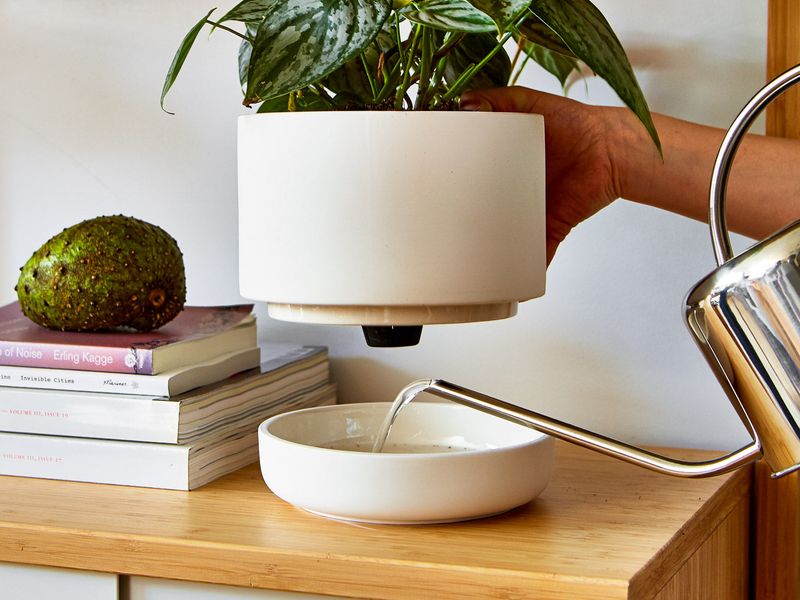 Self-Watering Planters