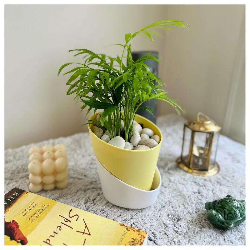 Self-Watering Planters