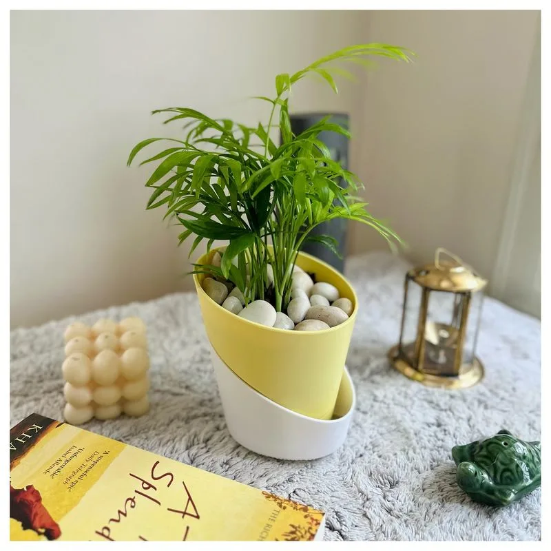 Self-Watering Planters