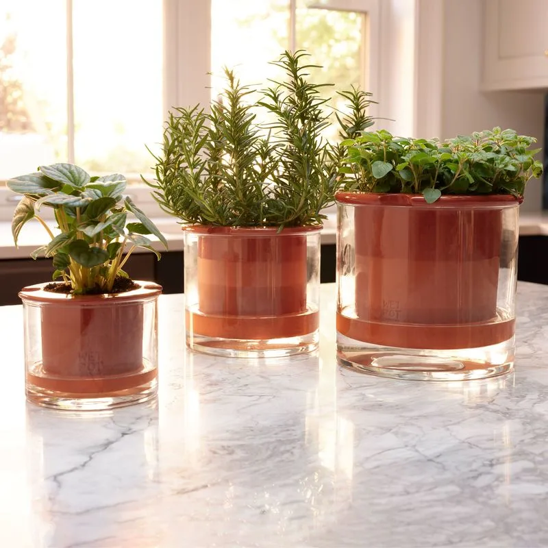 Self-Watering Pots