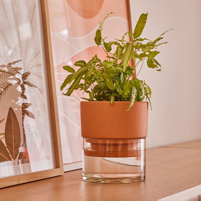 Self-Watering Pots