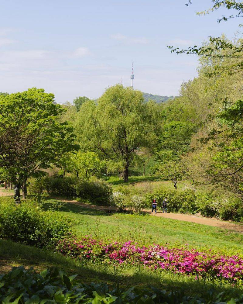 Seoul's Namsan Botanical Garden