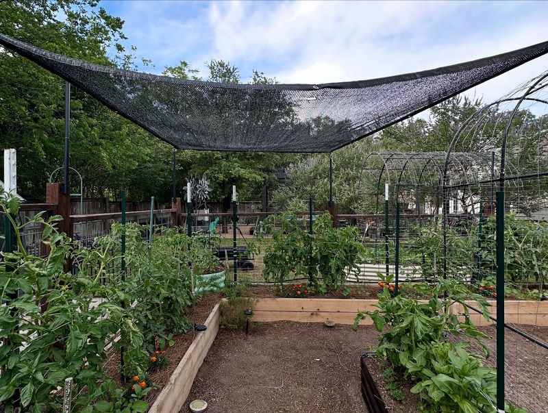 Shade Cloth Solutions
