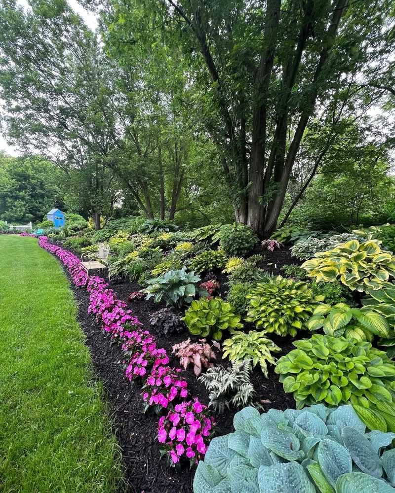Shade Garden