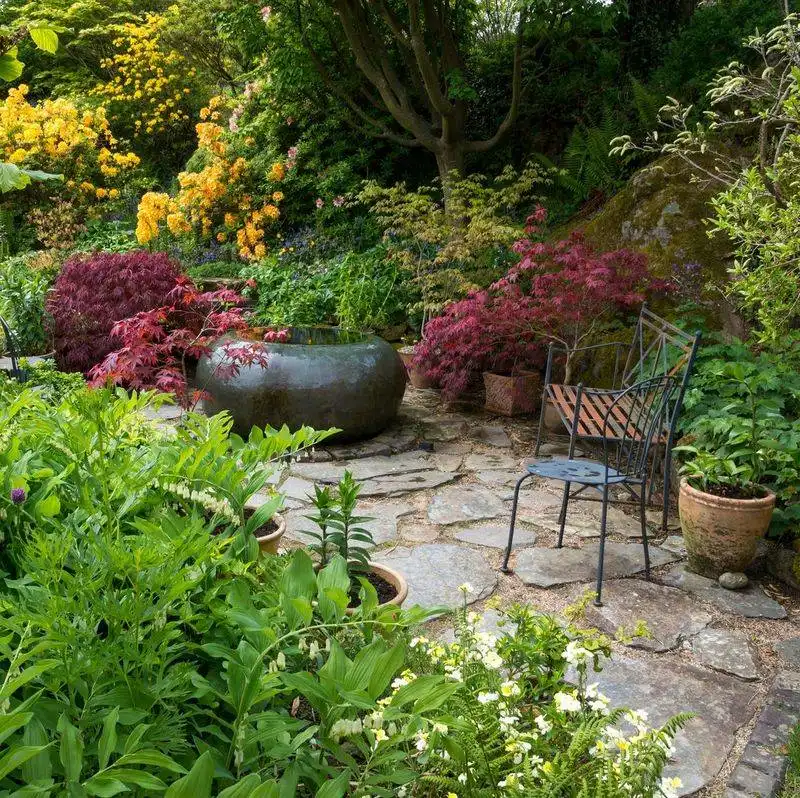 Shade-Loving Plants
