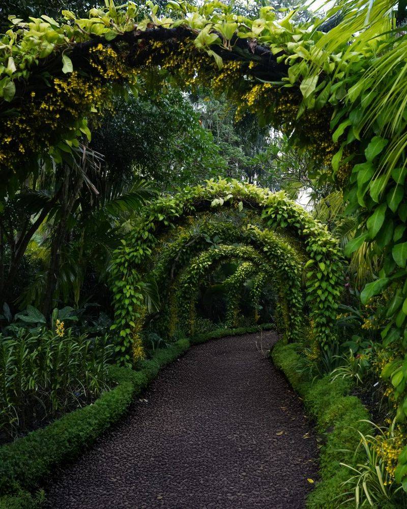 Shade and Whispered Secrets