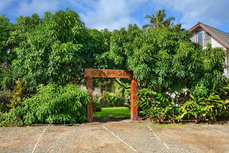 Shaded Fern Grotto