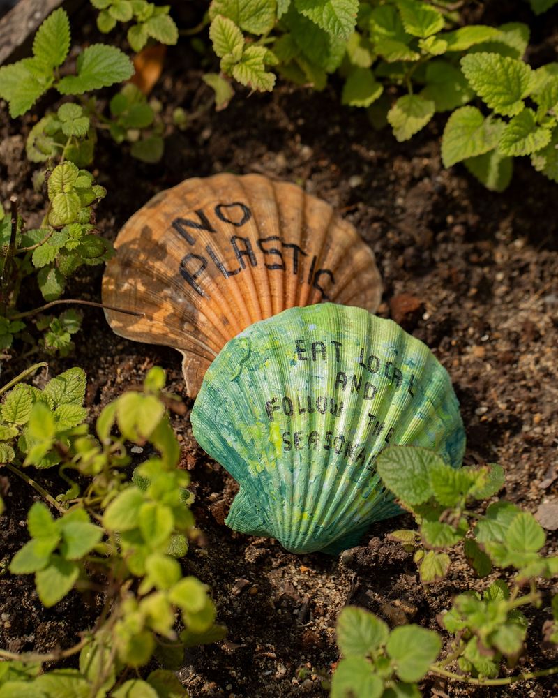 Shells