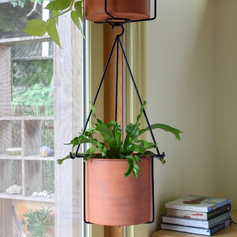 Sifter Plant Holder