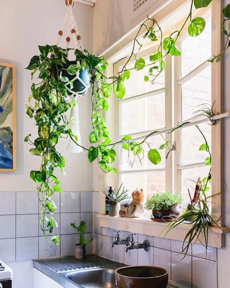 Simple Hanging Baskets
