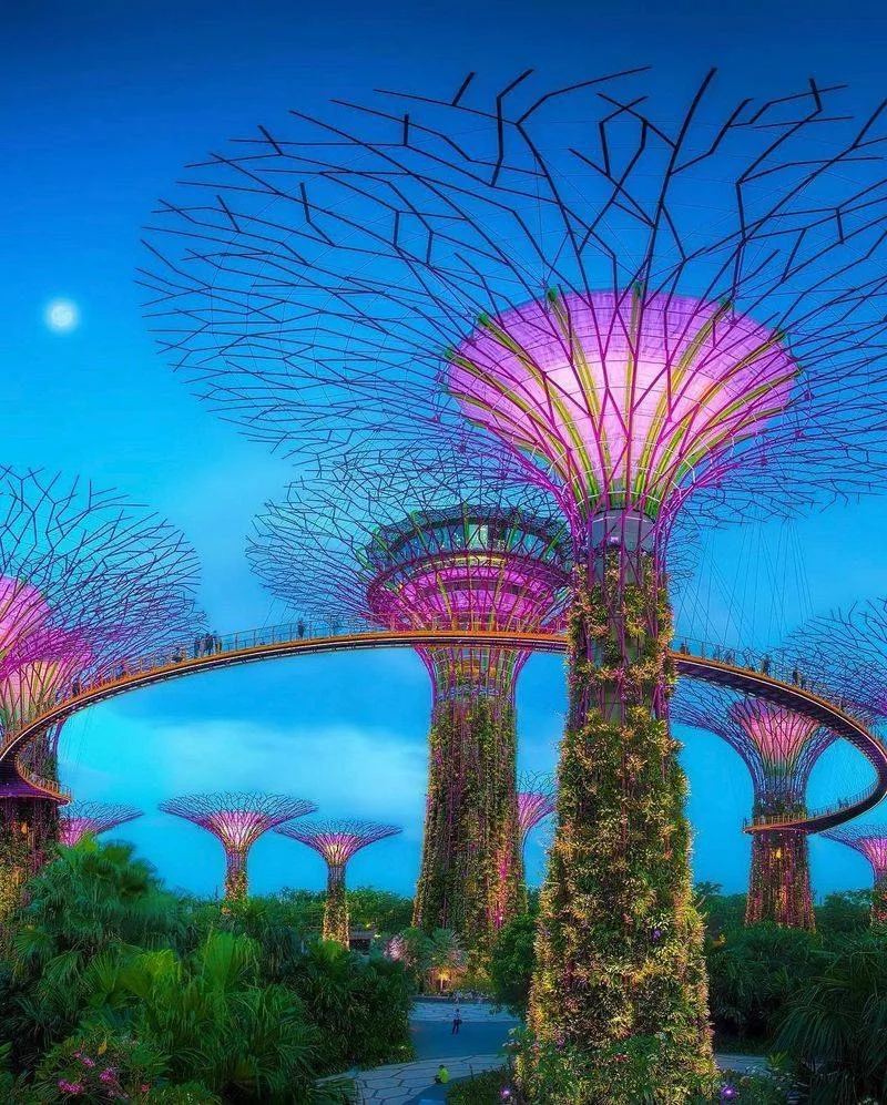 Singapore's Gardens by the Bay