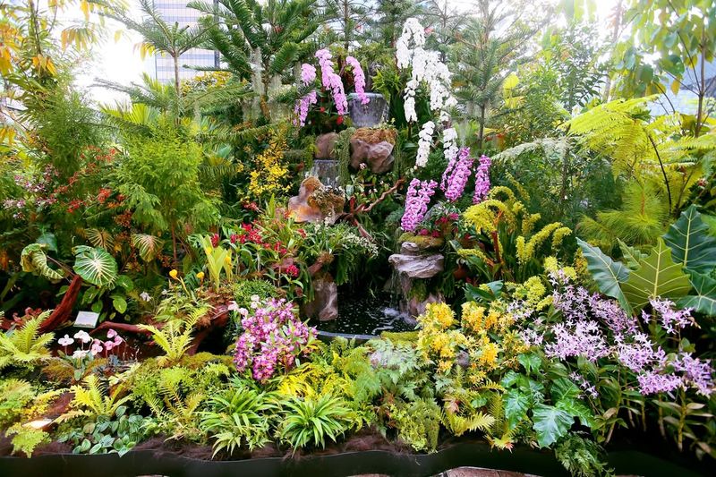 Singapore Garden Festival