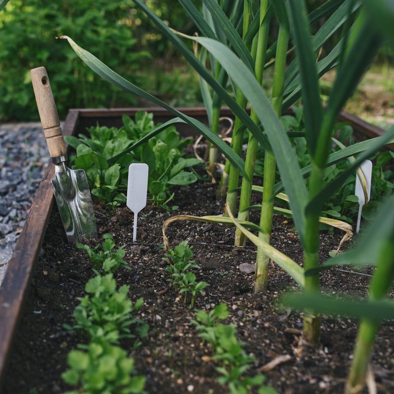 Skipping Crop Rotation
