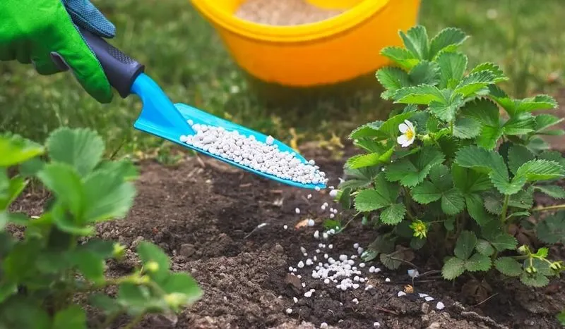 Skipping Fertilization