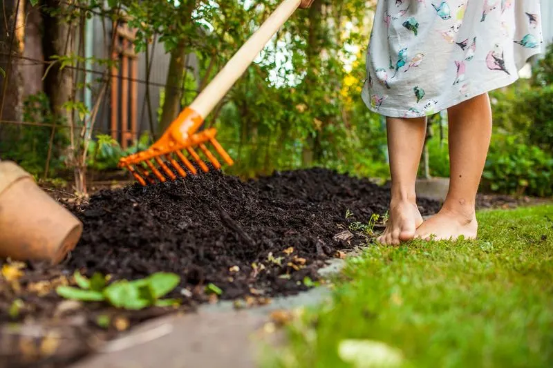 Skipping Mulch