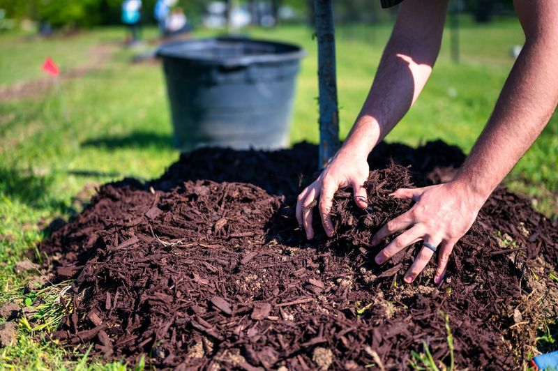 Skipping Mulch