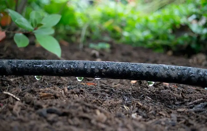 Soaker Hoses