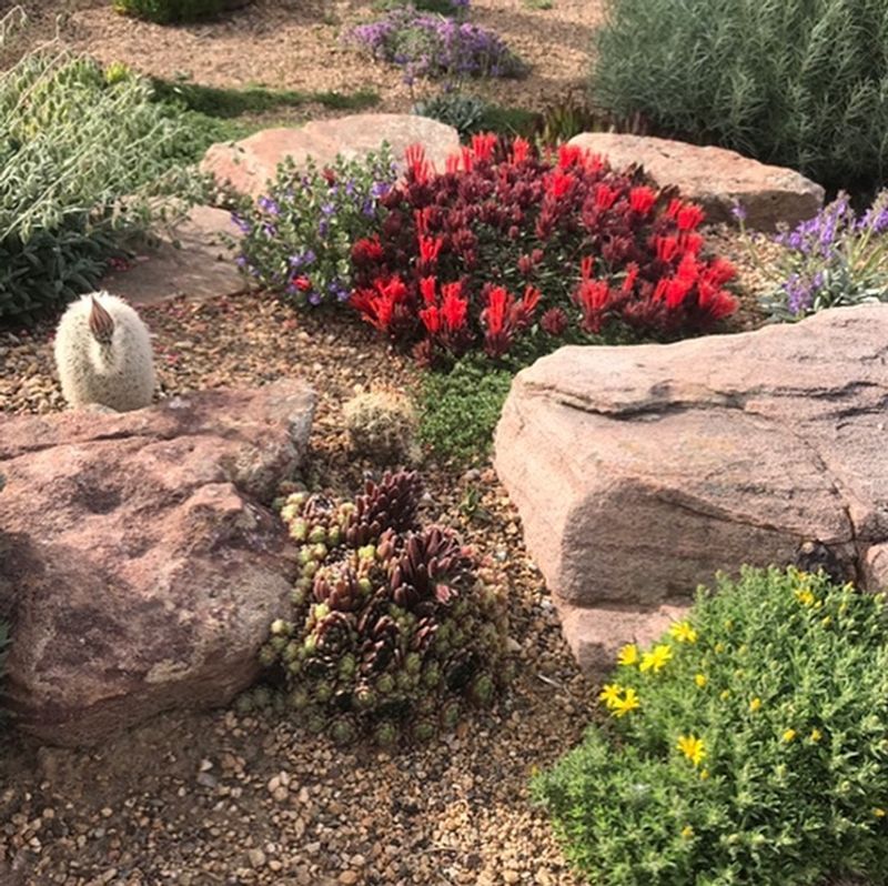 Smart Plant Selection
