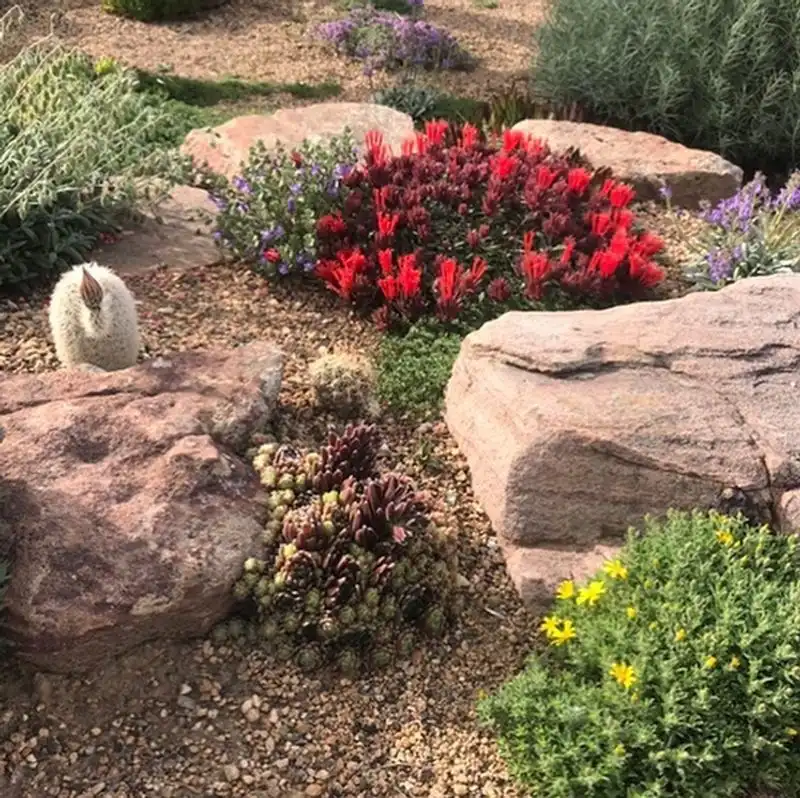 Smart Plant Selection