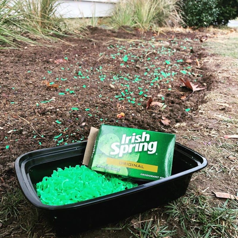 Soap Shavings for Deer